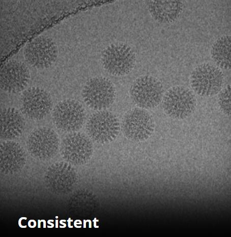超平多孔碳支持膜(图3)